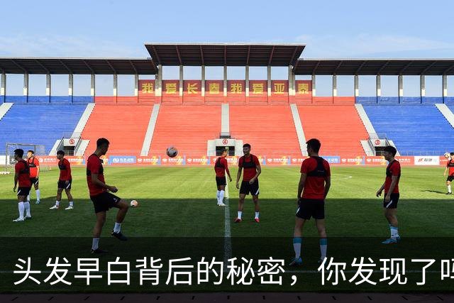 头发早白背后的秘密，你发现了吗？
