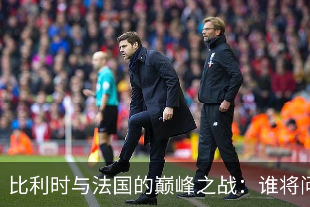 比利时与法国的巅峰之战：谁将问鼎欧洲的斗兽场？